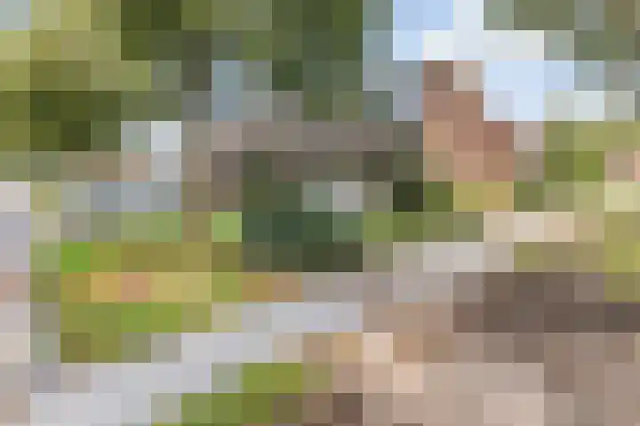 Batinge 33 Norg foto 2