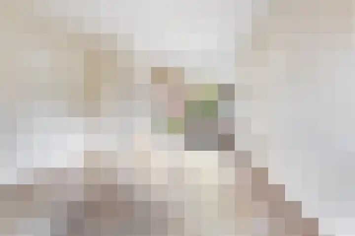 Batinge 33 Norg thumbnail 5