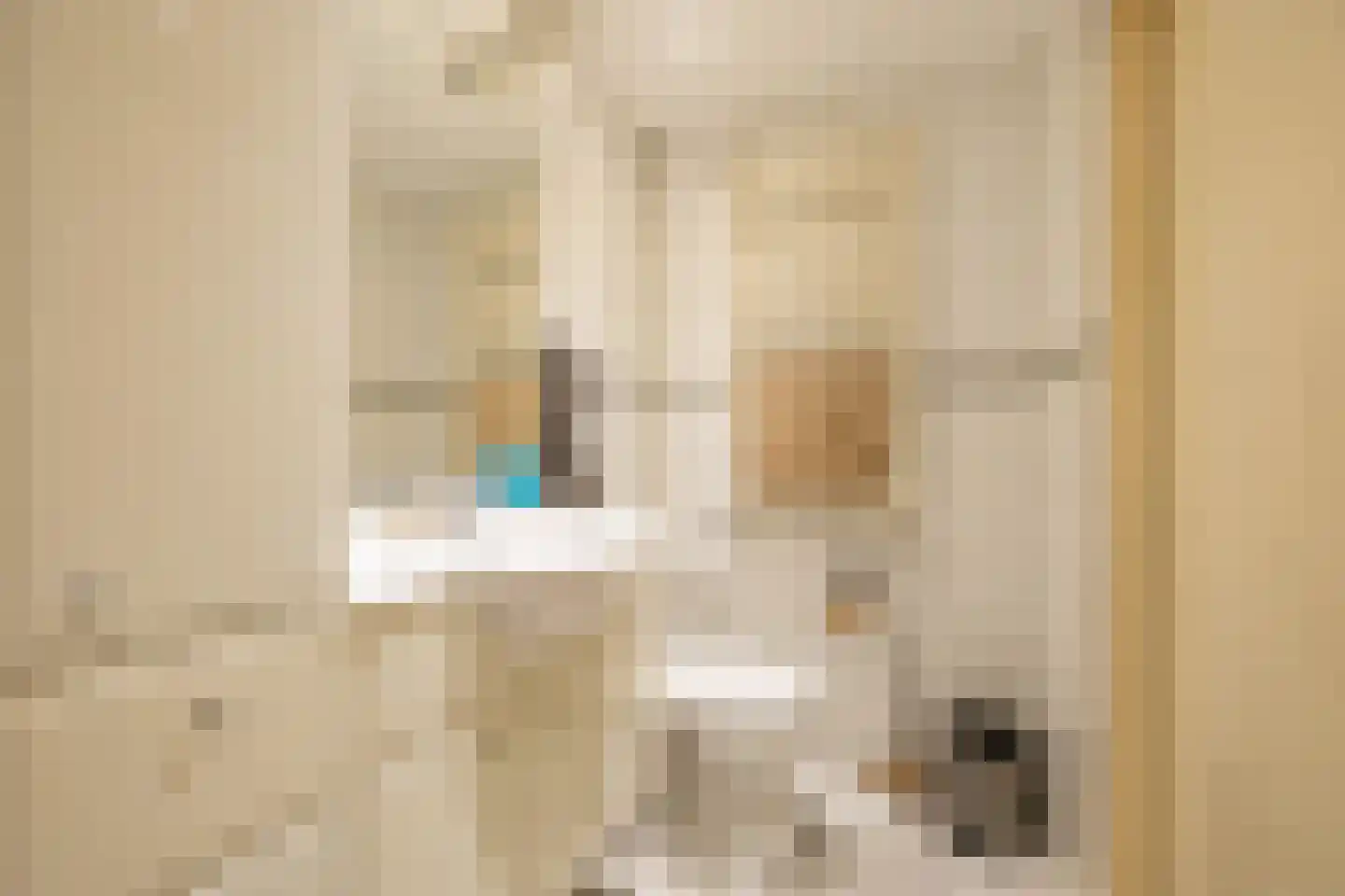 Batinge 43 Norg thumbnail 34