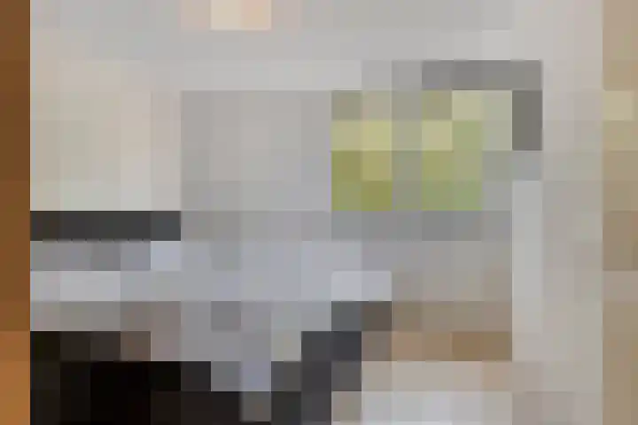 Batingehof 38 Emmen thumbnail 10