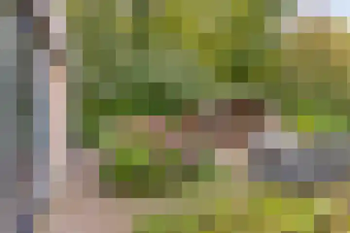 Batingehof 38 Emmen thumbnail 17