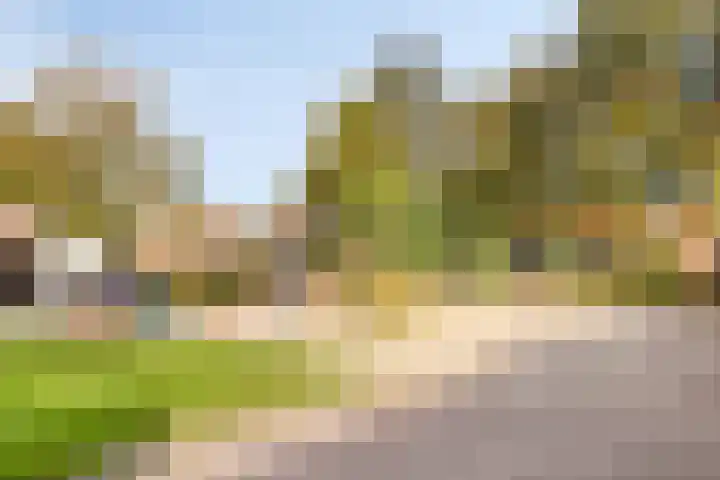 Batingehof 38 Emmen thumbnail 20