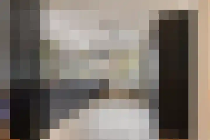 Batingehof 38 Emmen thumbnail 8