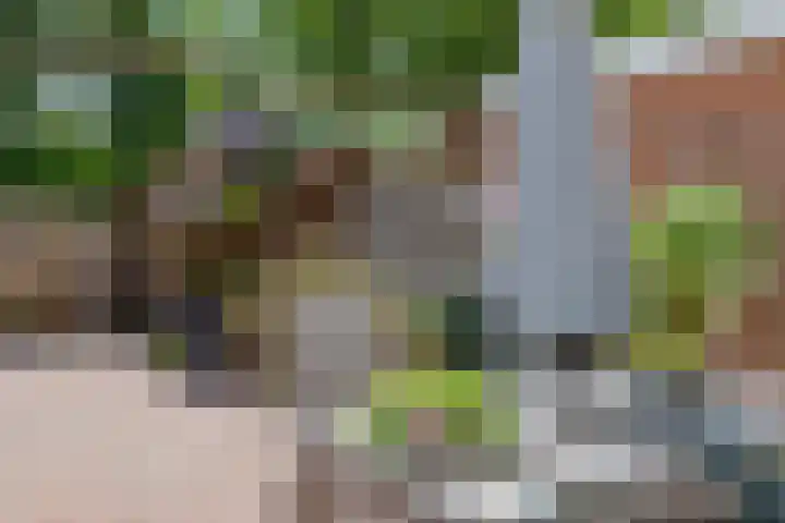 Batingestraat 33 Sleen thumbnail 42