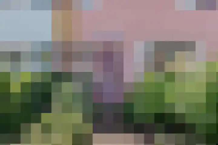 Batingestraat 33 Sleen thumbnail 5