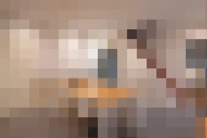 Bato'sweg 12 Putten thumbnail 13