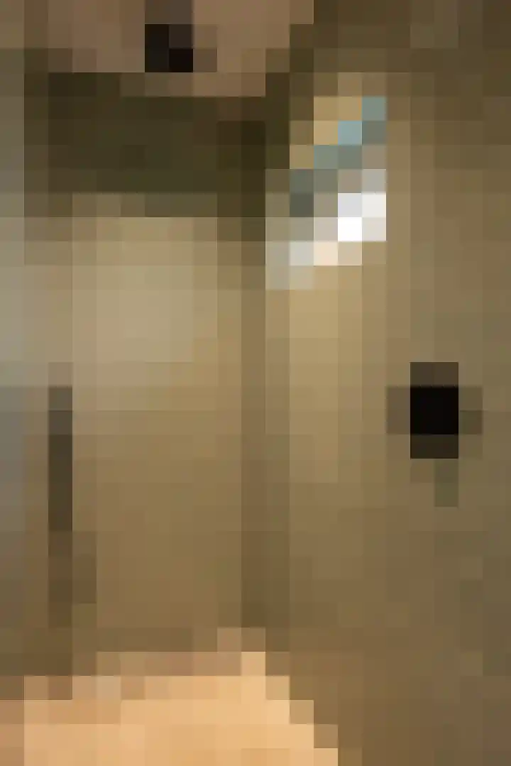 Bato'sweg 12 Putten thumbnail 23