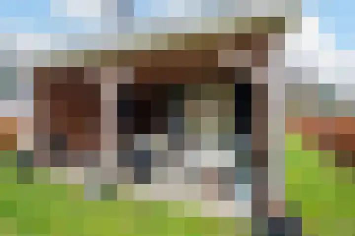 Bato'sweg 12 Putten thumbnail 27