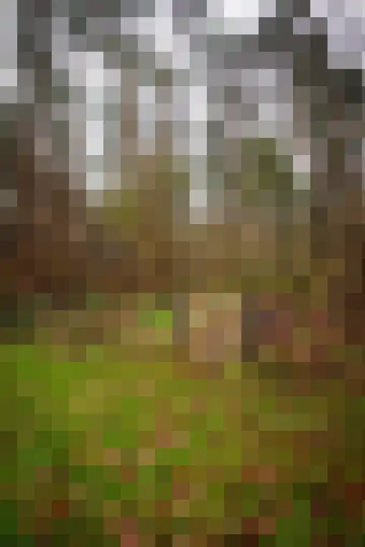 Bato'sweg 12 Putten thumbnail 32