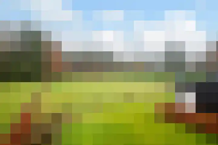 Bato'sweg 12 Putten thumbnail 5