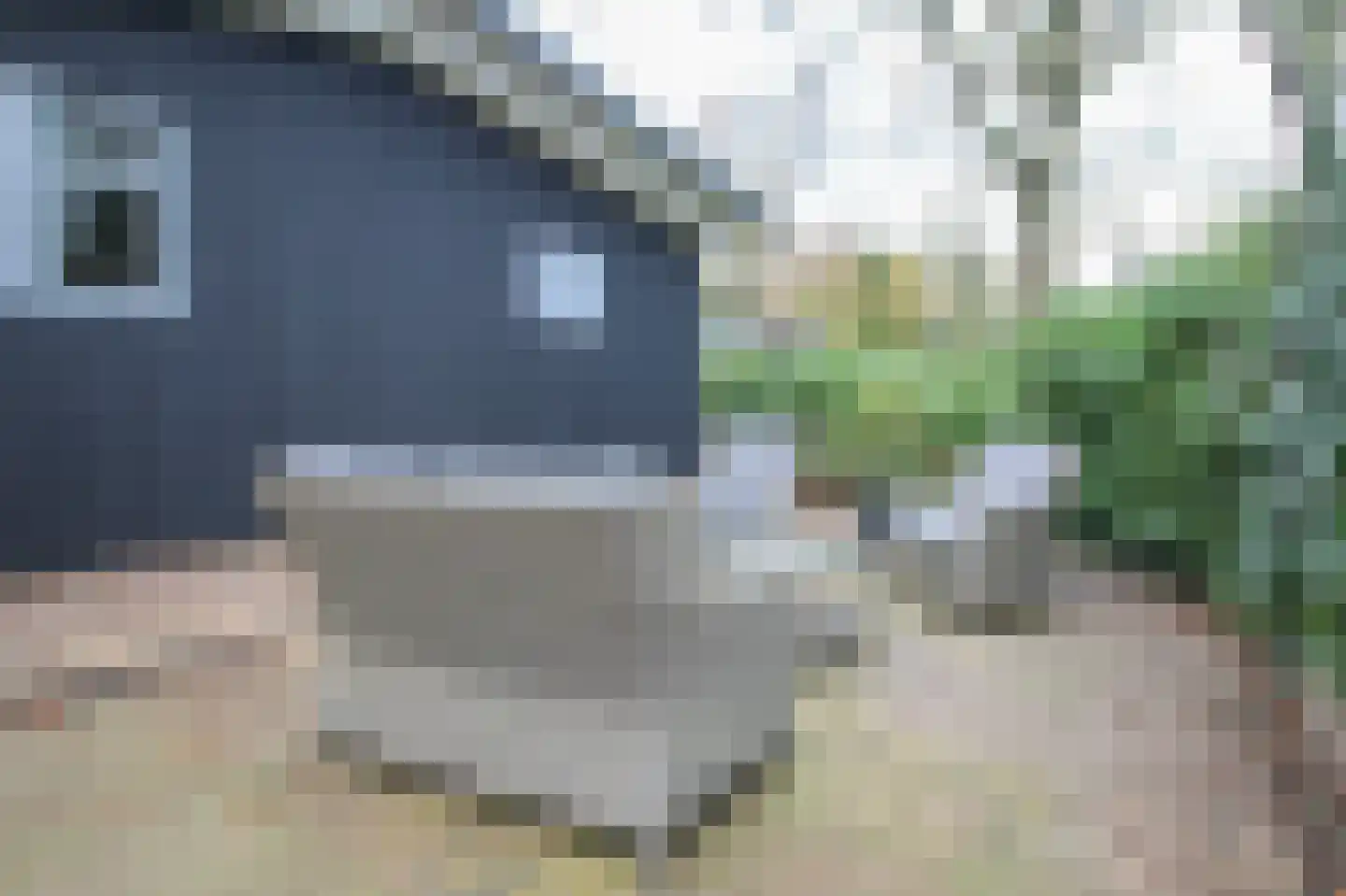 Bato'sweg 8 14 Putten thumbnail 38