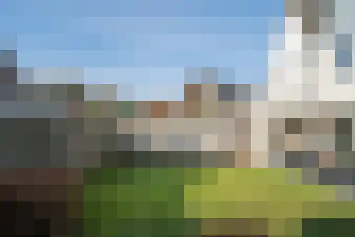Batspade 57 Deurne thumbnail 19
