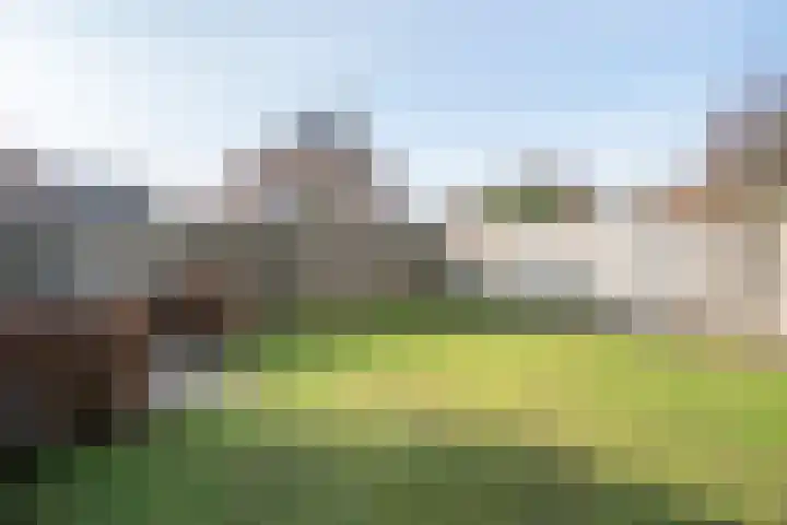 Batspade 57 Deurne thumbnail 20