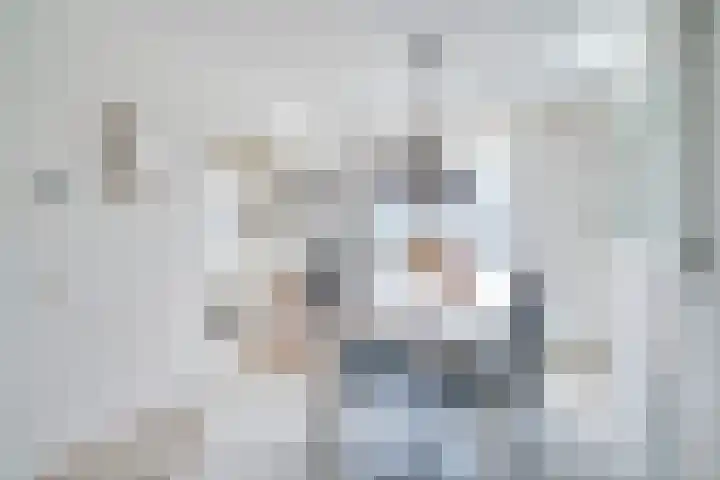 Batspade 57 Deurne thumbnail 8