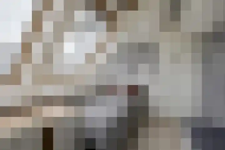 Batterij 7 Vijfhuizen thumbnail 27