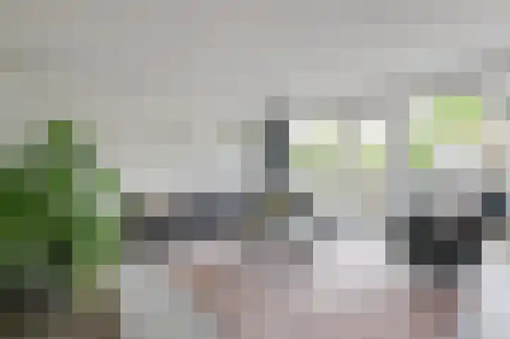 Batterij 7 Vijfhuizen thumbnail 5