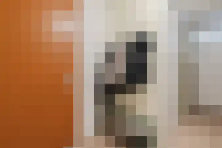 Battutalaan 683 Utrecht thumbnail 17