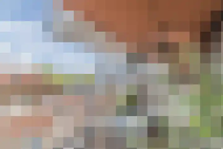 Battutalaan 683 Utrecht thumbnail 27