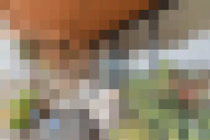 Battutalaan 683 Utrecht thumbnail 28