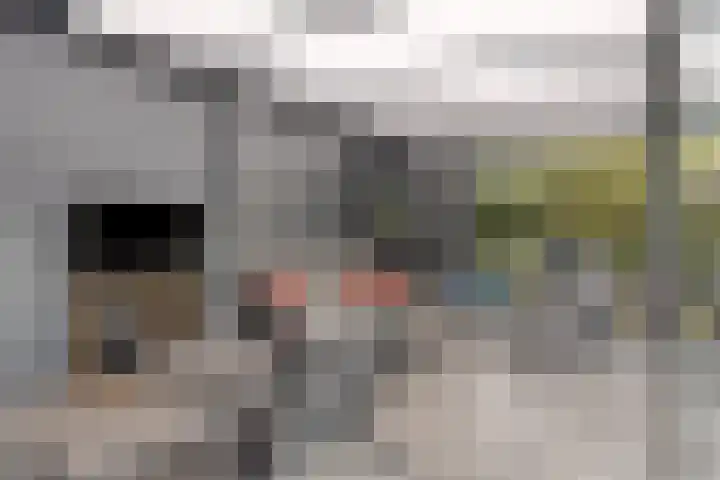 Baudevoort 43 Helmond thumbnail 30