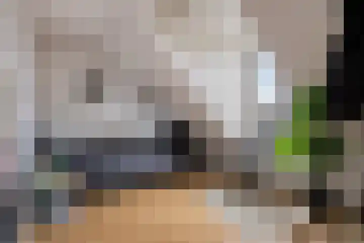 Baudevoort 43 Helmond thumbnail 42