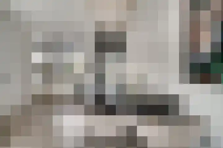 Bauerstraat 4 Duiven thumbnail 13