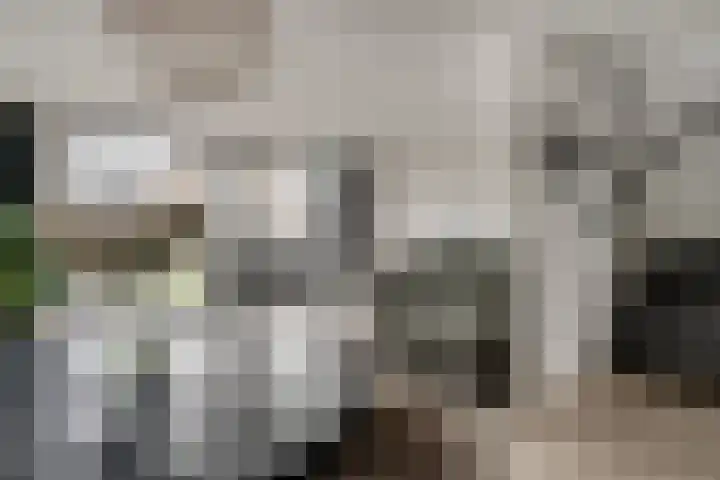 Bauerstraat 4 Duiven thumbnail 17