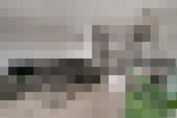 Bauerstraat 4 Duiven thumbnail 20