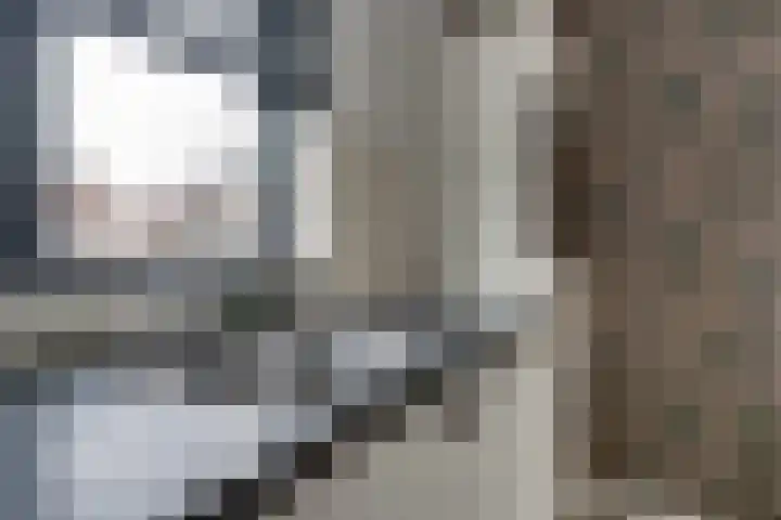 Bauerstraat 4 Duiven thumbnail 23