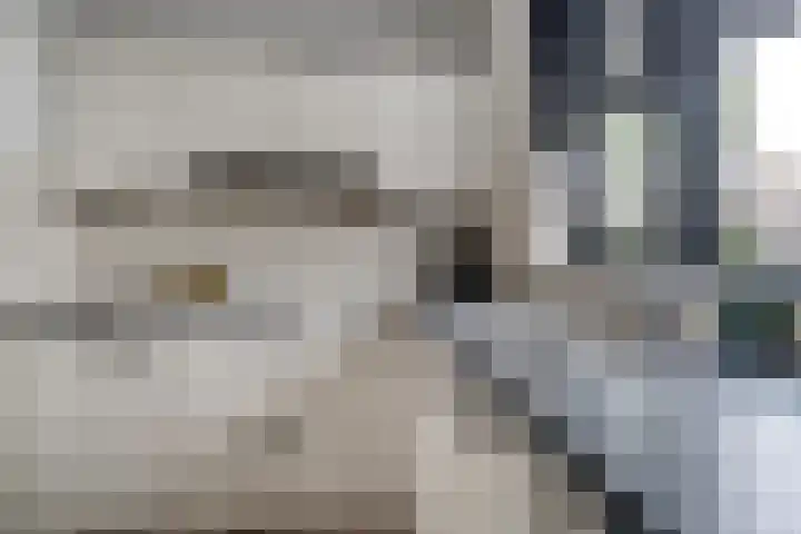 Bauerstraat 4 Duiven thumbnail 24