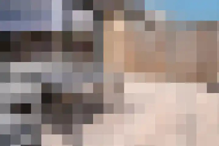 Bauerstraat 4 Duiven thumbnail 27