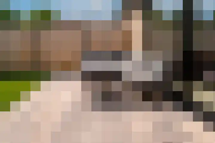 Bauerstraat 4 Duiven thumbnail 28