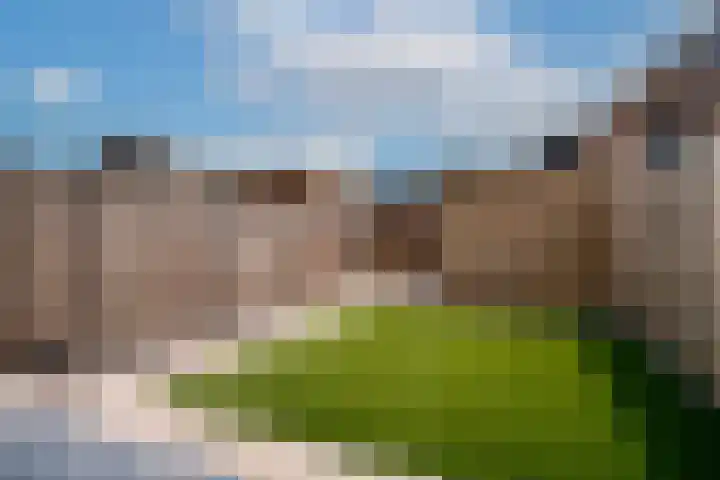Bauerstraat 4 Duiven thumbnail 30