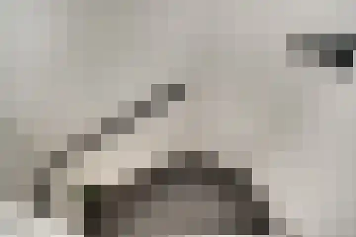 Bauerstraat 4 Duiven thumbnail 31