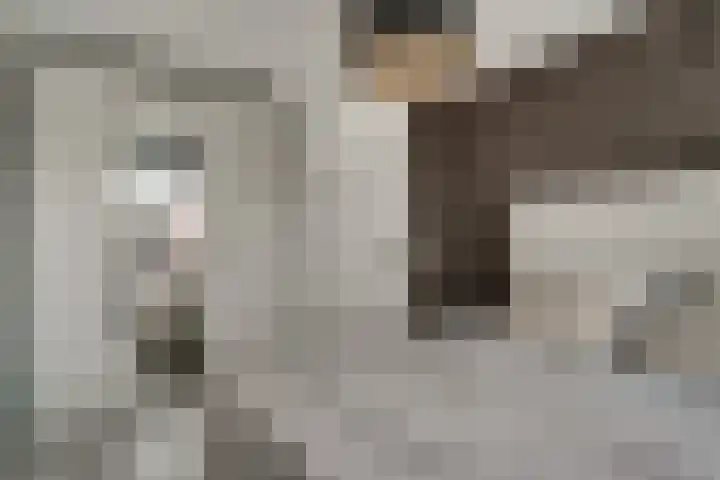 Bauerstraat 4 Duiven thumbnail 32