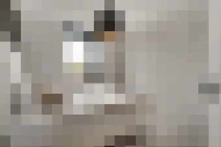 Bauerstraat 4 Duiven thumbnail 33