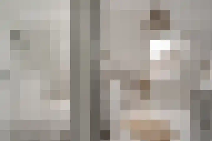 Bauerstraat 4 Duiven thumbnail 35