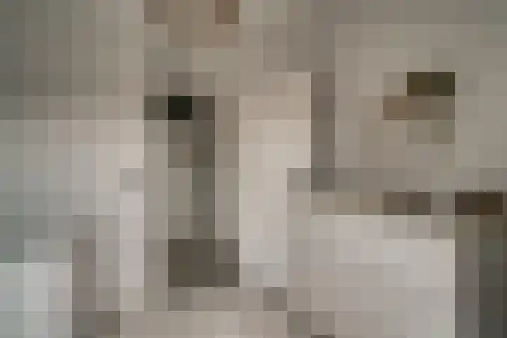 Bauerstraat 4 Duiven thumbnail 38
