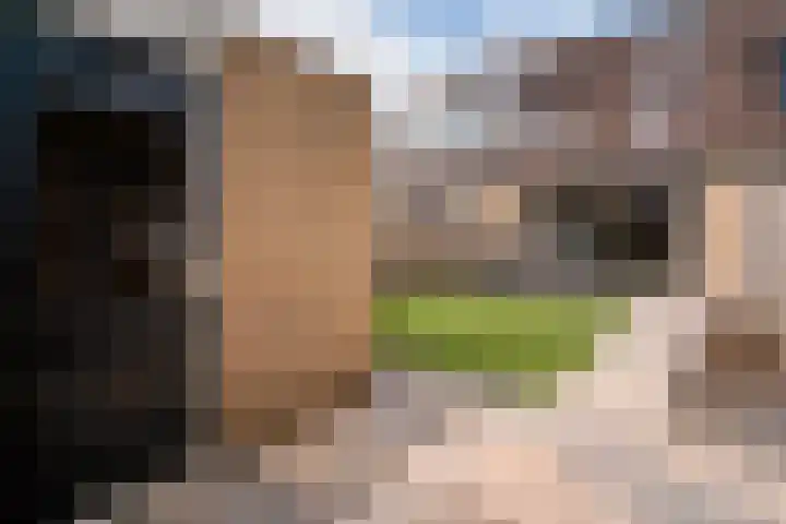 Bauerstraat 4 Duiven thumbnail 4