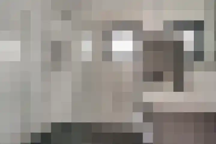 Bauerstraat 4 Duiven thumbnail 43