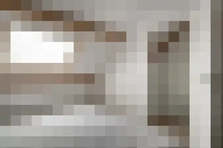 Bauerstraat 4 Duiven thumbnail 50