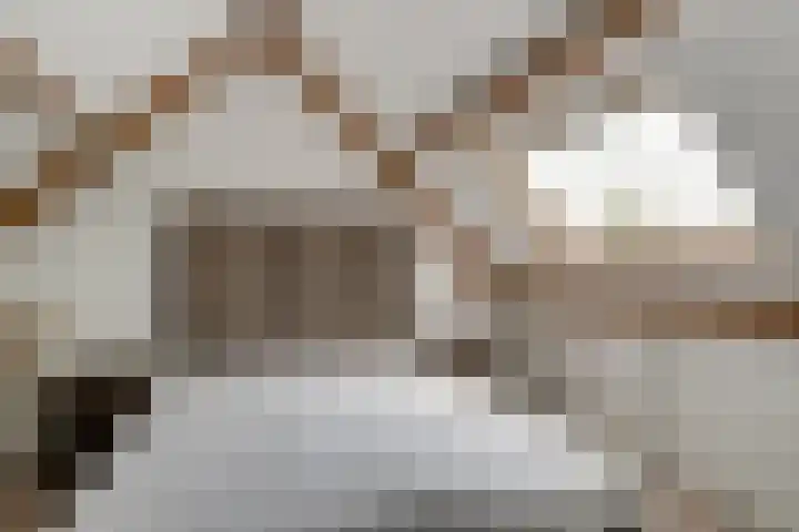 Bauerstraat 4 Duiven thumbnail 52