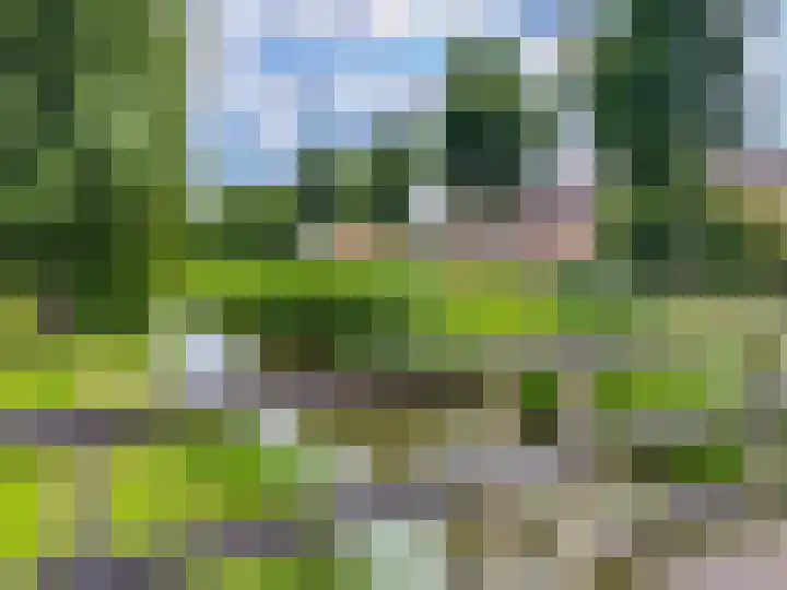 Bauerstraat 4 Duiven thumbnail 53