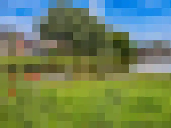 Bauerstraat 4 Duiven thumbnail 54