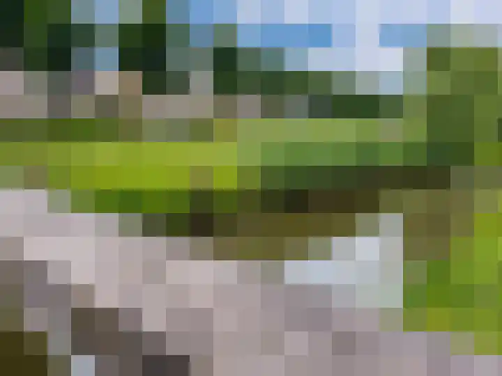 Bauerstraat 4 Duiven thumbnail 56