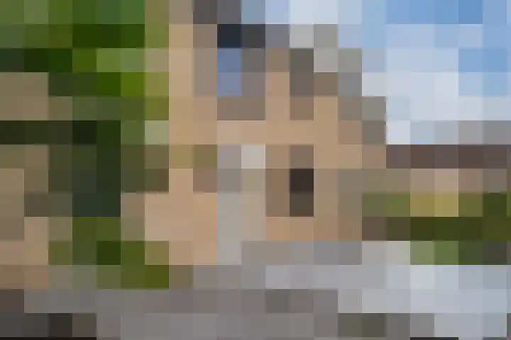 Bauerstraat 4 Duiven thumbnail 7