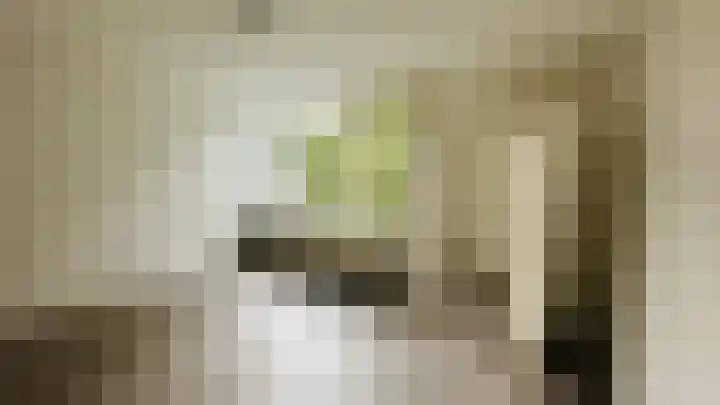 Bauxietpad 11 Delft thumbnail 10