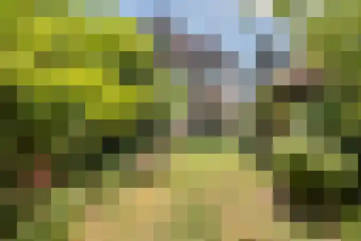 Bauxietpad 11 Delft thumbnail 4