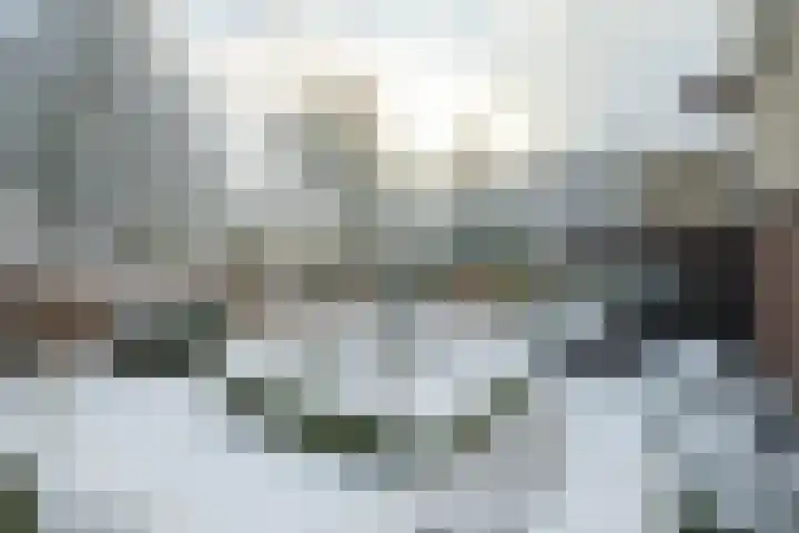 Bavelselaan 331 Breda thumbnail 69
