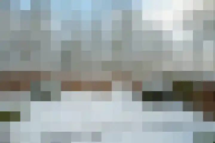 Bavelselaan 331 Breda thumbnail 71